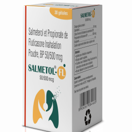 SALMETOL-FL 50/500
